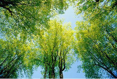 Switch《银河战士：生存恐惧》大卖 超越系列记录